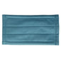 Blue Microfiber Glass Cleaning Pad - 12 Inch